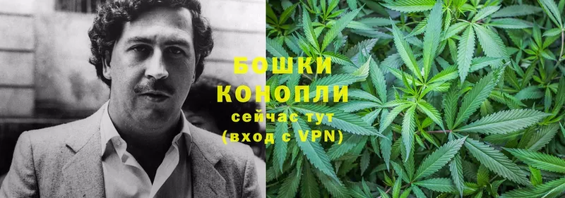 mega сайт  Петровск-Забайкальский  Канабис LSD WEED  наркотики 